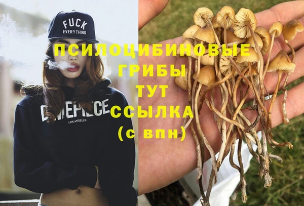 скорость Волосово